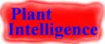 Selected Button